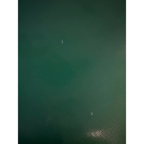 Pulicati Leather Tote green bag - Picture 9 of 15